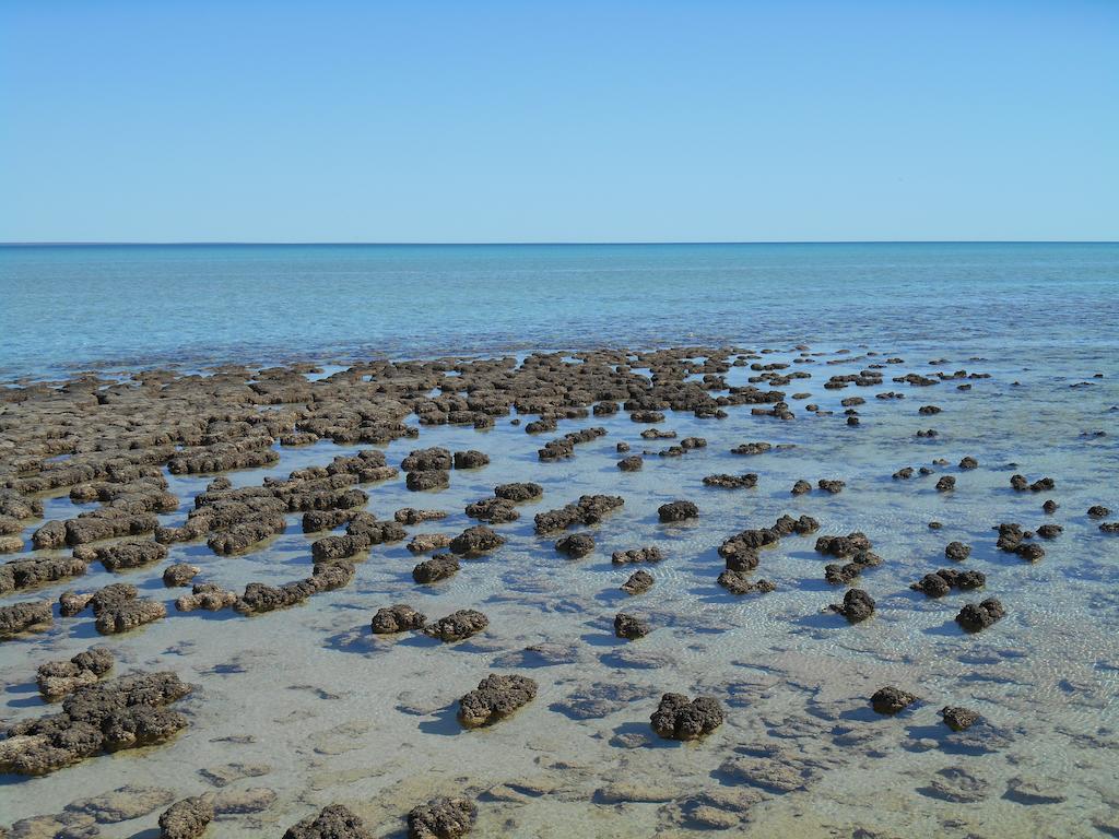 Hamelin Pool Caravan Park 외부 사진