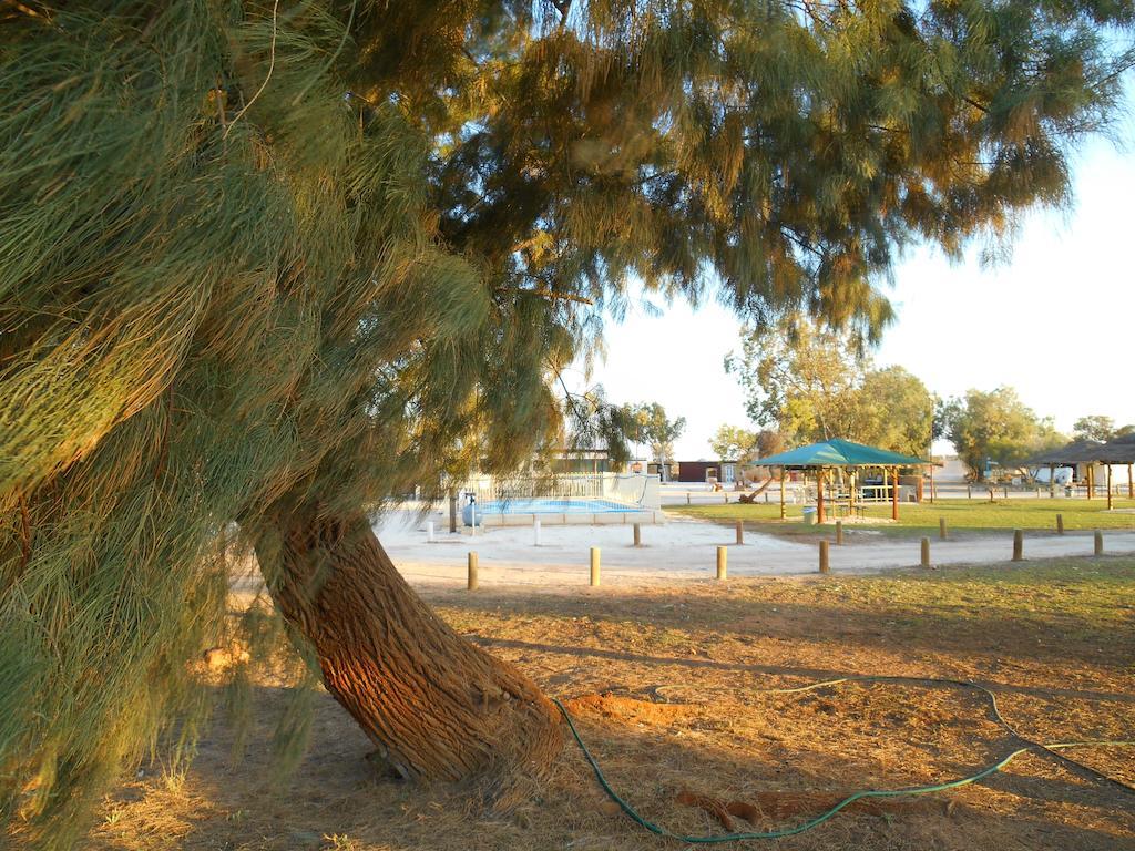 Hamelin Pool Caravan Park 외부 사진