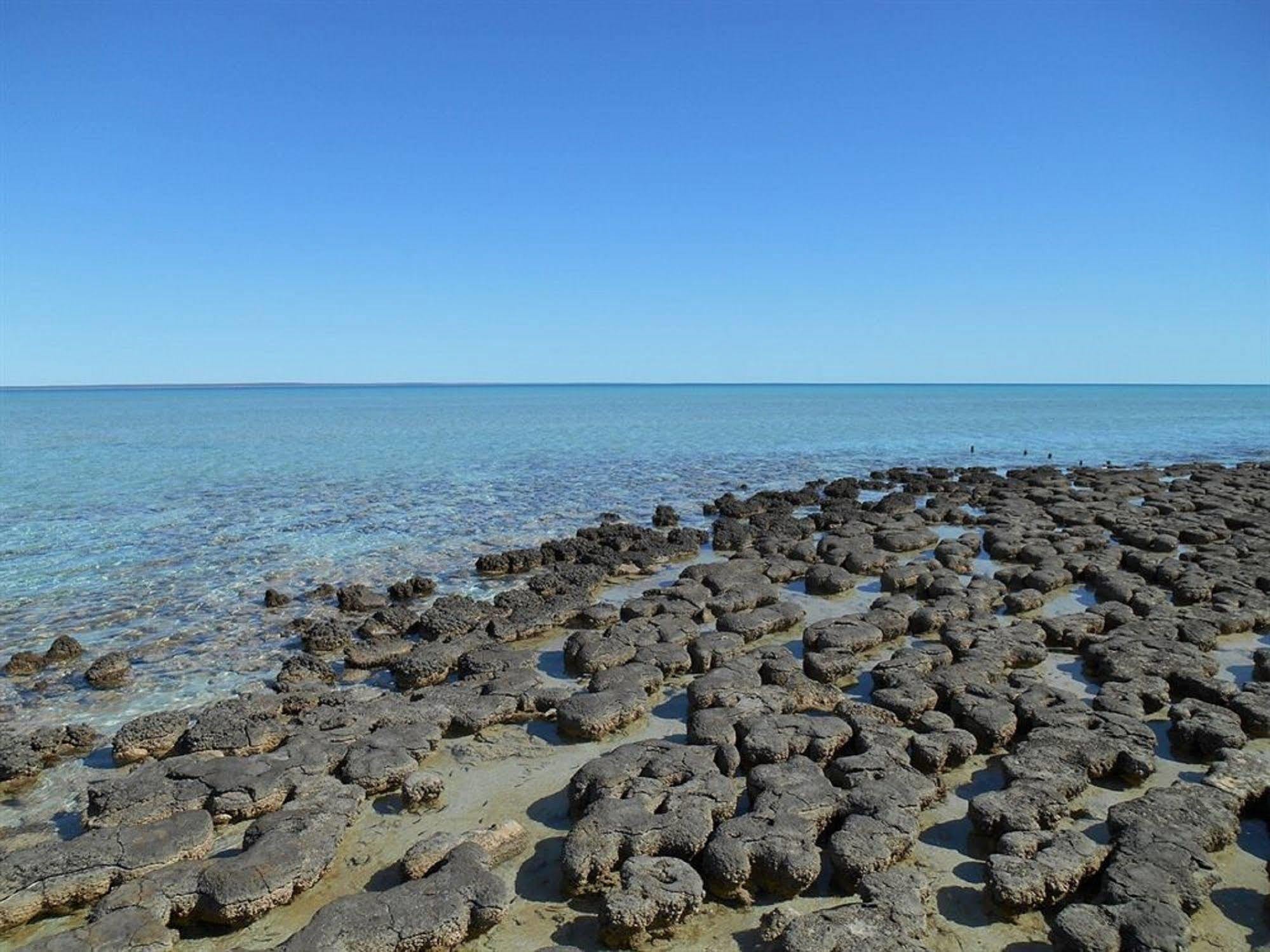 Hamelin Pool Caravan Park 외부 사진